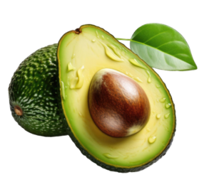 avocado medium